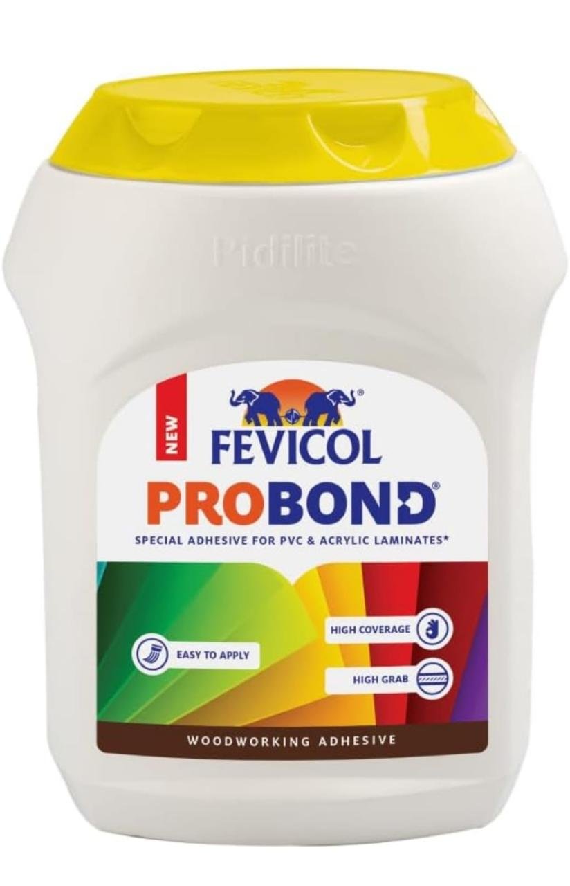 WhatsApp Image 2025-11-05 at 2.49.00 PM