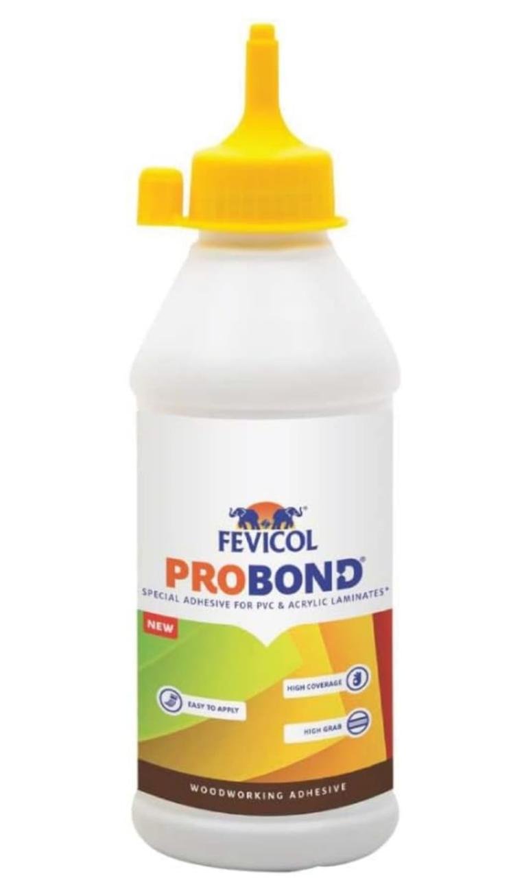 WhatsApp Image 2025-11-05 at 2.49.03 PM